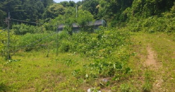 경기도 가평군 설악면 설곡리 193 전 경매 물건 이미지