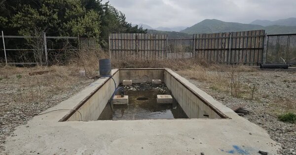 경상남도 양산시 하북면 삼감리 493 답 경매 물건 이미지