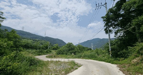 경상남도 밀양시 단장면 단장리 729-2  미지정 경매 물건 이미지