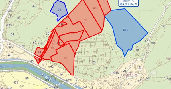 충청북도 충주시 앙성면 용포리 산1  미지정 경매 물건 이미지