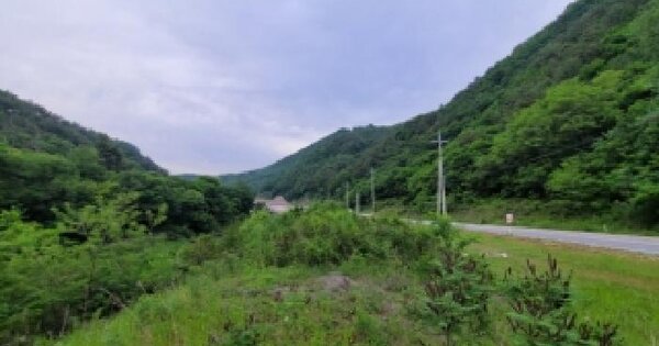 강원특별자치도 정선군 남면 유평리 432-4  미지정 경매 물건 이미지