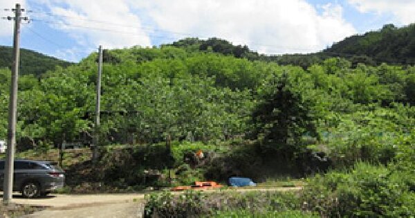 경상북도 상주시 공성면 봉산리 산34-1  미지정 경매 물건 이미지