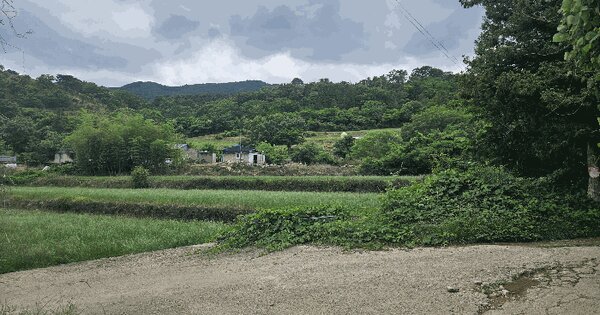 경상남도 거제시 삼거동 산47-6  미지정 경매 물건 이미지
