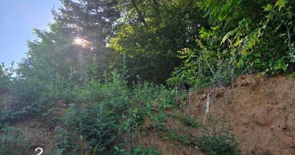 경기도 용인시 처인구 마평동 407-24  미지정 경매 물건 이미지