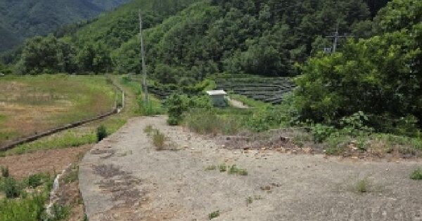 강원특별자치도 삼척시 도계읍 늑구리 223-1  미지정 경매 물건 이미지