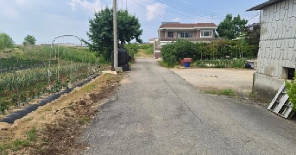 경기도 평택시 팽성읍 신대리 100  미지정 경매 물건 이미지