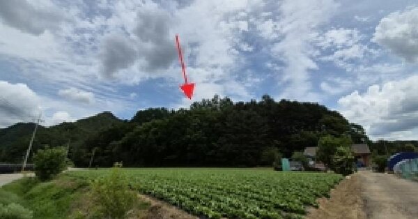강원특별자치도 횡성군 안흥면 지구리 산184-2  미지정 경매 물건 이미지