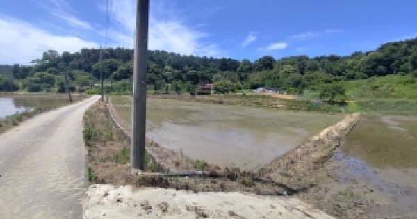 충청남도 서천군 기산면 화산리 393-7  미지정 경매 물건 이미지