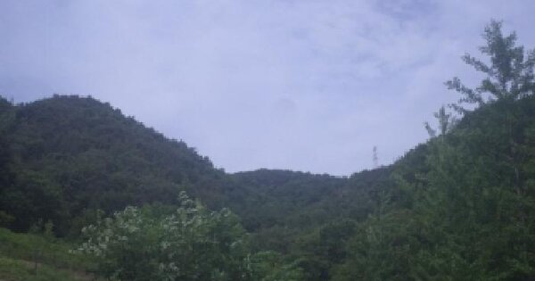 전북특별자치도 임실군 임실읍 현곡리 산29-1  미지정 경매 물건 이미지