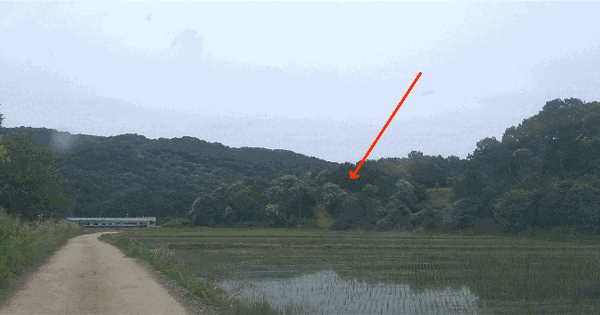 충청북도 진천군 진천읍 지암리 814 전 경매 물건 이미지
