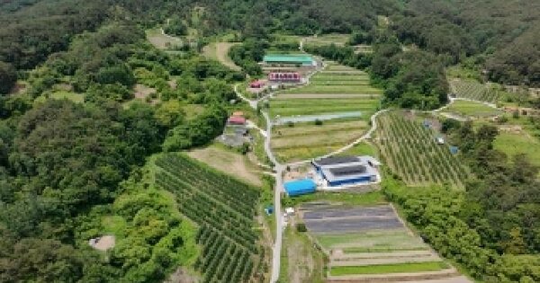 경상남도 거창군 북상면 월성리 산53-2  미지정 경매 물건 이미지