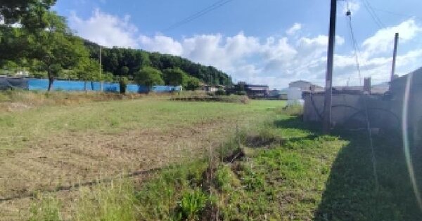 충청남도 홍성군 광천읍 벽계리 43-2  미지정 경매 물건 이미지