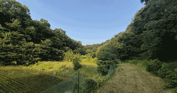 충청남도 당진시 원당동 39  미지정 경매 물건 이미지