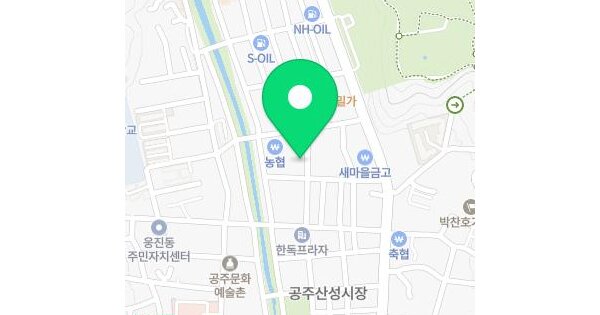 충청남도 공주시 금성동 20-10  미지정 경매 물건 이미지
