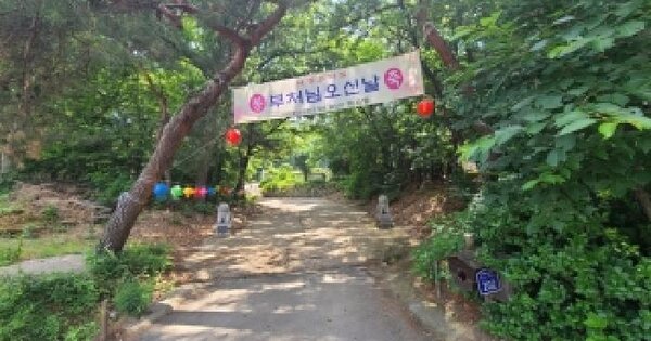 경기도 이천시 부발읍 마암리 산26-2  미지정 경매 물건 이미지