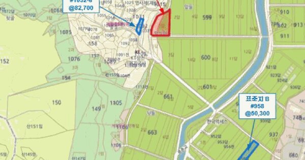 경상남도 창원시 의창구 북면 하천리 599-1  미지정 경매 물건 이미지