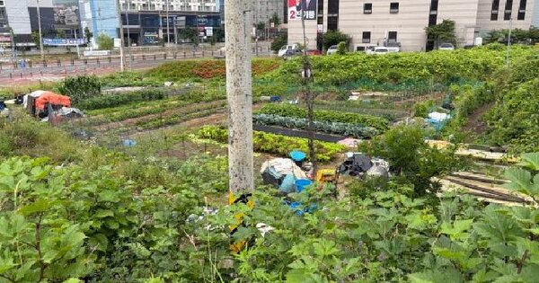 경상남도 거제시 아주동 1074-1  미지정 경매 물건 이미지