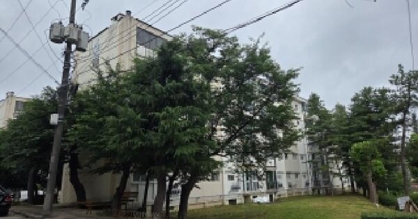 강원특별자치도 강릉시 노암동 835 주공아파트 206동 5층501호 미지정 경매 물건 이미지