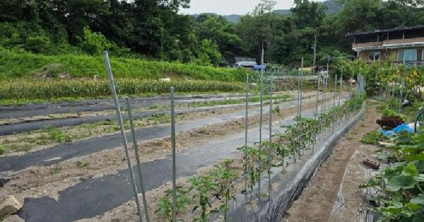 경기도 양평군 지평면 일신리 661  미지정 경매 물건 이미지