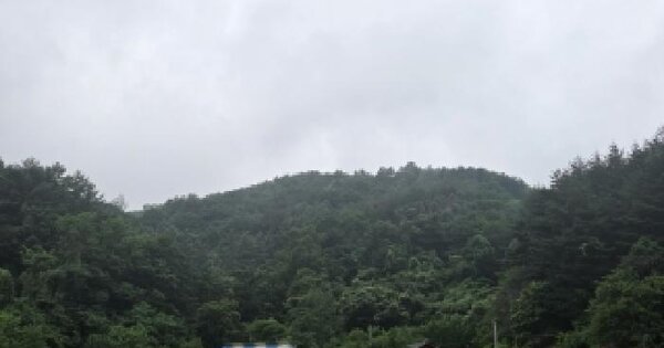 강원특별자치도 강릉시 성산면 위촌리 산245  미지정 경매 물건 이미지