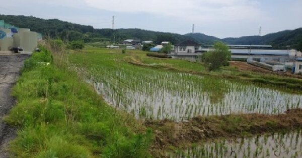 세종특별자치시  전의면 양곡리 300-2  미지정 경매 물건 이미지