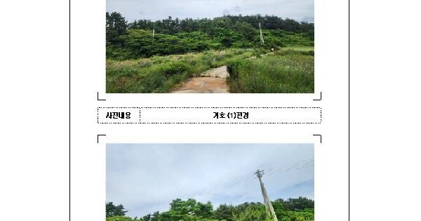 전라남도 신안군 암태면 오상리 529  미지정 경매 물건 이미지