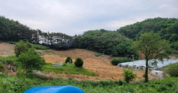 강원특별자치도 정선군 남면 무릉리 190-2  미지정 경매 물건 이미지