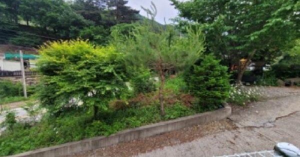 강원특별자치도 정선군 남면 무릉리 660  미지정 경매 물건 이미지