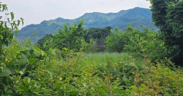 충청북도 제천시 백운면 도곡리 150-1  미지정 경매 물건 이미지