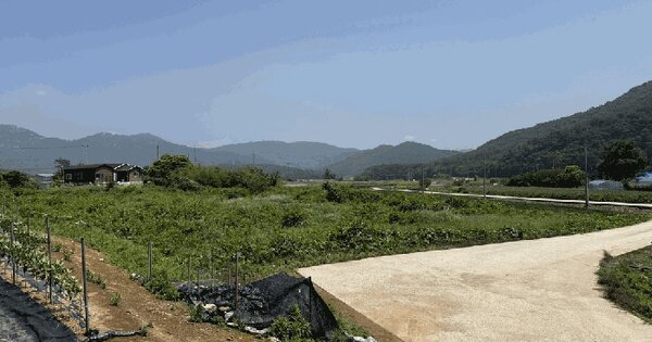 전라남도 영광군 백수읍 구수리 182  미지정 경매 물건 이미지
