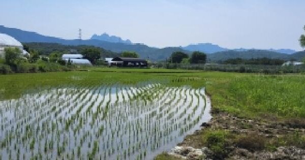 경기도 고양시 덕양구 선유동 339-1  미지정 경매 물건 이미지
