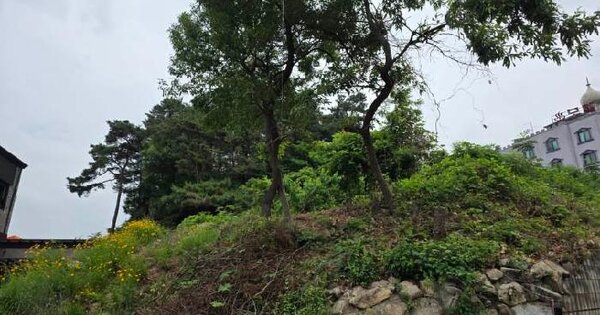경기도 여주시 강천면 이호리 산2-2  미지정 경매 물건 이미지