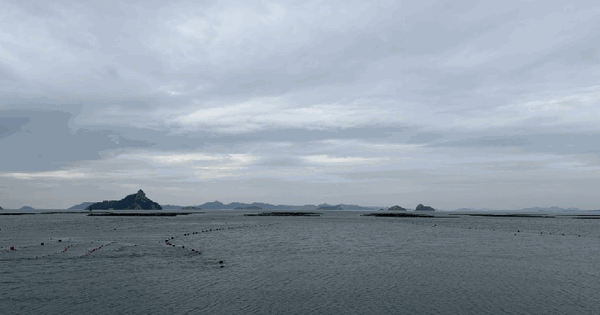 전남 진도군 지산면 거제리 481    어업권 경매 물건 이미지