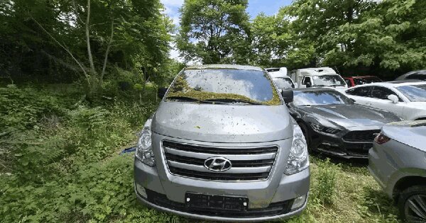 그랜드스타렉스3밴냉동차(GRAND STAREX) 등록번호 : 90어8259 미지정 경매 물건 이미지
