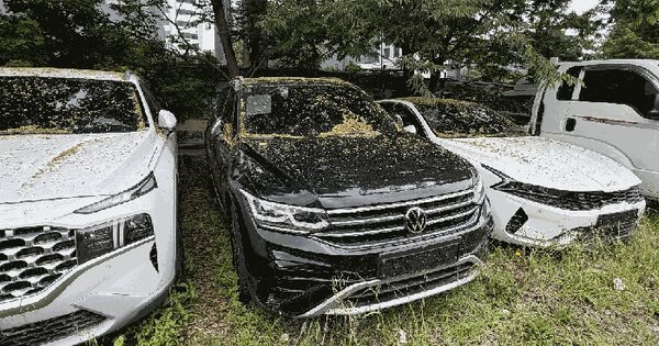 Tiguan Allspace 등록번호 : 331더7222 미지정 경매 물건 이미지