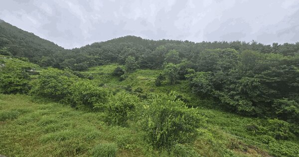 경상남도 남해군 이동면 화계리 373  미지정 경매 물건 이미지