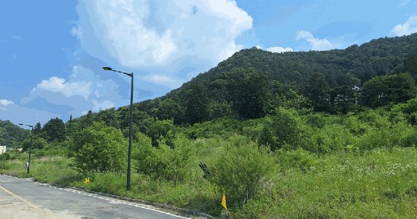 전라남도 담양군 담양읍 학동리 723  미지정 경매 물건 이미지