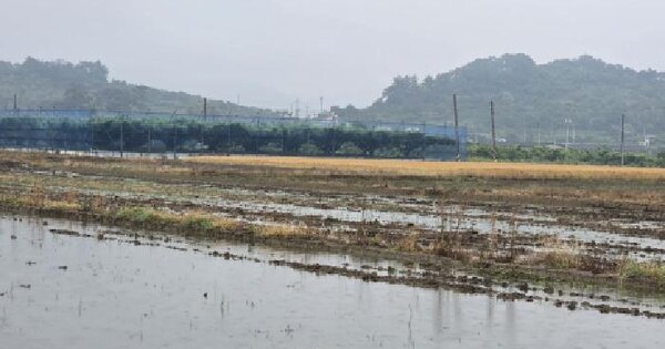 경상북도 청도군 이서면 고철리 467-2 답 경매 물건 이미지