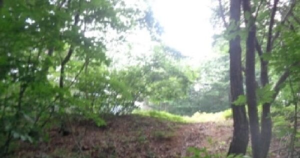 전북특별자치도 김제시 금산면 용호리 산69  미지정 경매 물건 이미지