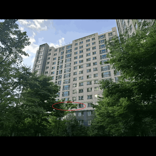 물건 사진