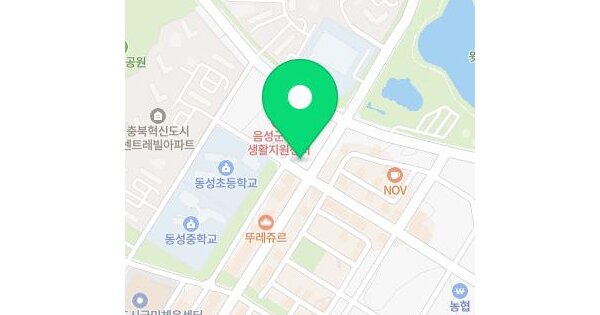 충청북도 음성군 맹동면 동성리 235 씨티타워  3층303호 미지정 경매 물건 이미지