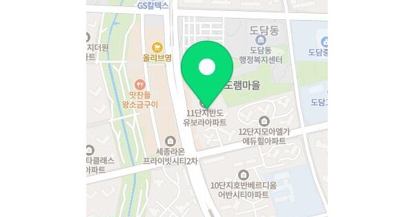 세종특별자치시  도담동 653 도램마을11단지 카림애비뉴1동 1층1에프-24호 미지정 경매 물건 이미지