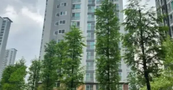 경기도 화성시 능동 1131 숲속마을 자연앤 데시앙아파트 869동 2층202호 아파트 경매 물건 이미지