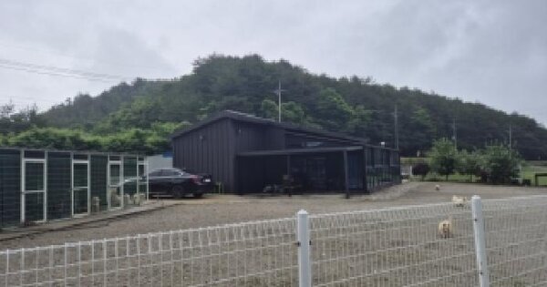 강원특별자치도 양양군 강현면 사교리 118  미지정 경매 물건 이미지