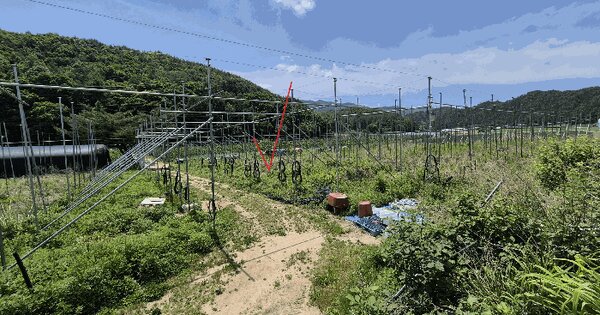 강원특별자치도 홍천군 내면 방내리 1271-3  미지정 경매 물건 이미지