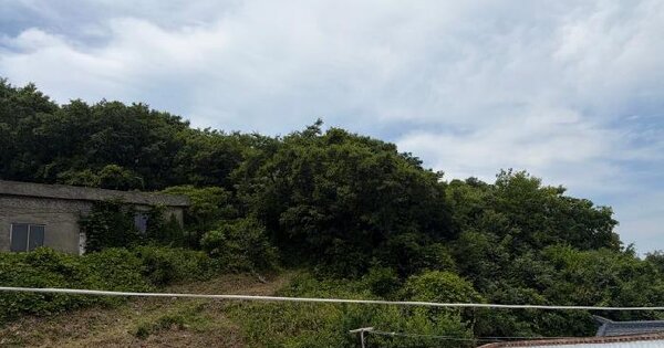 경상남도 거제시 남부면 탑포리 542-9  미지정 경매 물건 이미지