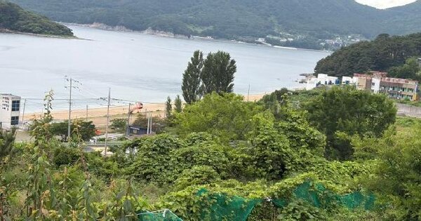 경상남도 거제시 일운면 구조라리 519  미지정 경매 물건 이미지