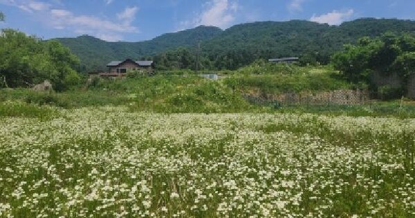 경기도 광주시 도척면 추곡리 214  미지정 경매 물건 이미지