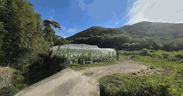 울산광역시 울주군 두서면 복안리 742-1  미지정 경매 물건 이미지