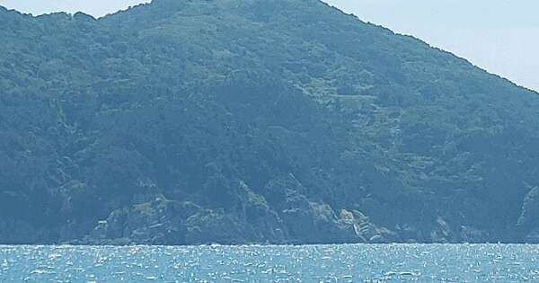 경상남도 통영시 욕지면 연화리 산10-18  미지정 경매 물건 이미지